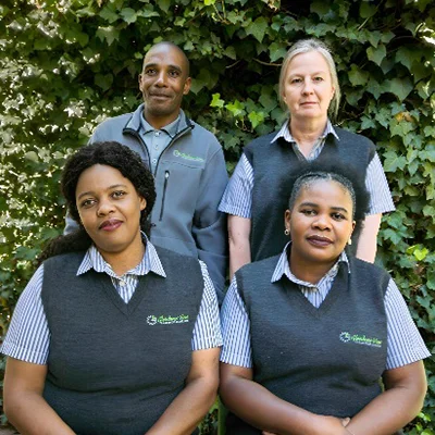 Meet the Team Image