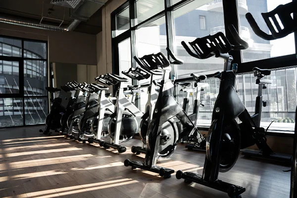 Sports & Recreation